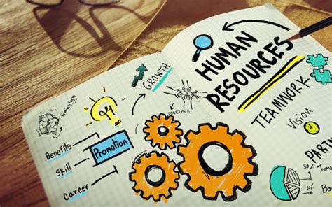 The 12 Key Functions Of Human Resources Aihr