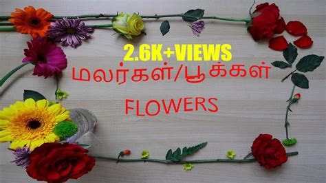Flowers name in english and tamil. Flowers name in Tamil and English for Kids // மலர்கள் ...
