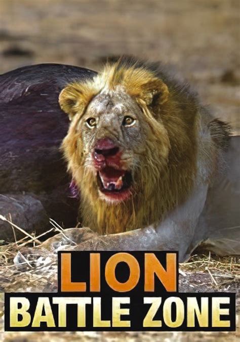 Lion Battle Zone Streaming Where To Watch Online