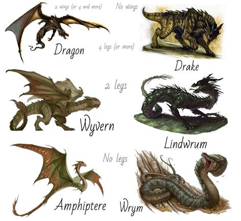 Types Of Dragons Dragon Art Fantasy Creatures