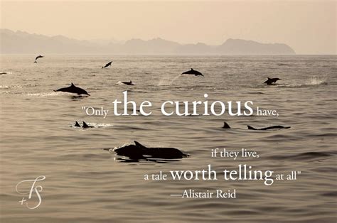 SHORT TRAVEL QUOTES AND SAYINGS image quotes at relatably.com