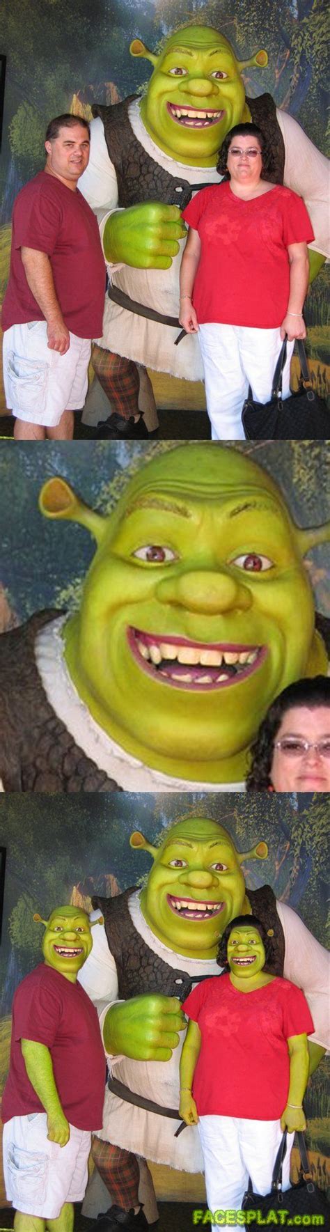 Face Swap Shrek Memes Face Swaps Shrek
