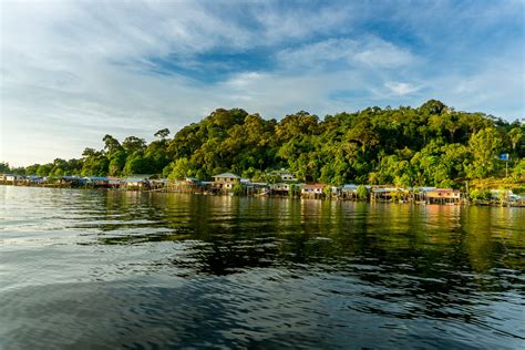 Program pelepasan benih ikan 'lampan sungai' sebanyak 30 ribu ekor di tasek bera dan juga di perkampungan orang asli semelai (jeti dara dan jeti sudin). Pulau 'lanun' ni jadi rebutan Keluarga diraja Johor dan ...
