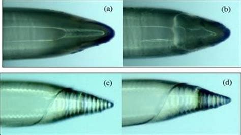 For people with longer hair. These 3D printed needles are one-fifth the thickness of ...