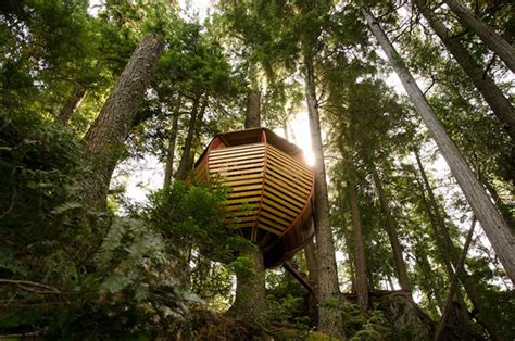 20 Awesome Treehouse With Childhood Dreams Homemydesign