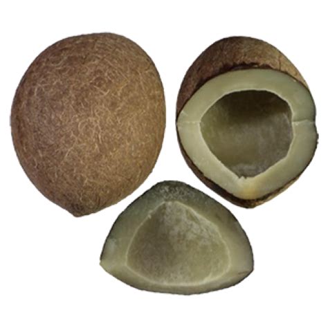 Cinagro Dry Coconut 500 Gms