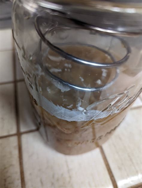 Is My Sourkraut Bad Time To Throw It Away R Fermentation