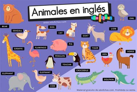 Ingles Animales Zoo 2 Vocabulario En Ingles Fichas 655