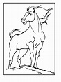 Spirit Riding Free Coloring Pages. 40 New Images Free Printable