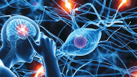 Neurological Disorders Types Symptoms Causes And Treatment