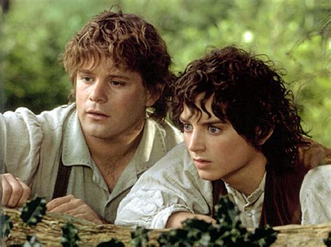 Frodo And Sam Lord Of The Rings Photo 3138646 Fanpop
