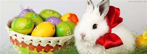 Happy Easter Bunny And Eggs Facebook Cover