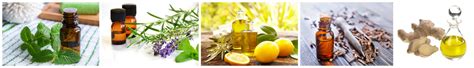 10 Great Essential Oils For Colds New Health Advisor