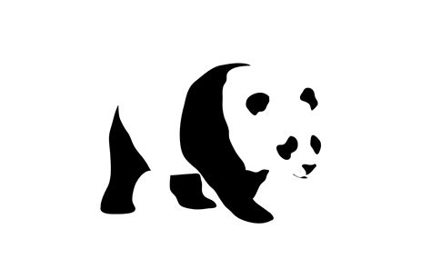 Sad Panda Hidden In The White Background Wallpaper Vector Wallpapers