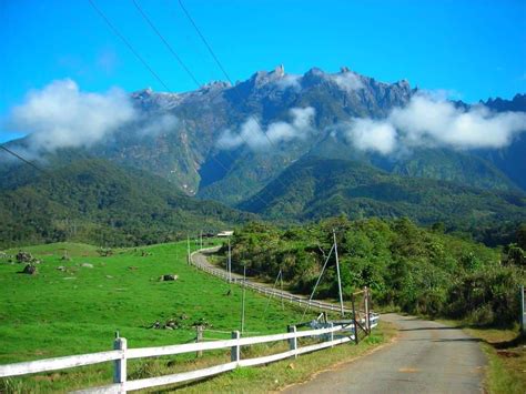 Located at the foothill of mount kinabalu, desa cattle dairy farm offers one of the most amazing scenery one could envision. Desa Cattle Dairy Farm Kundasang Seakan berada di New ...