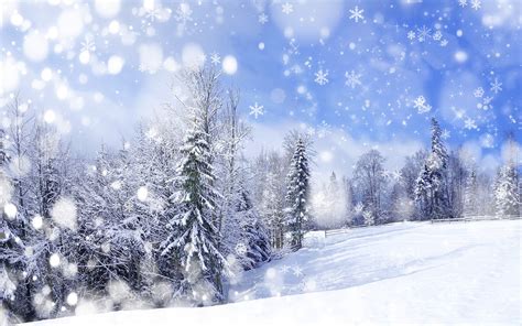 Winter Nature Snow Beautiful Lovely Landscape Landscapes