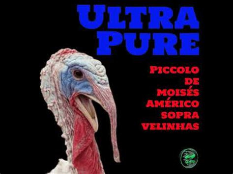 Mois S S Pra Velinhas Ultra Pure No Piccolo Madame Youtube