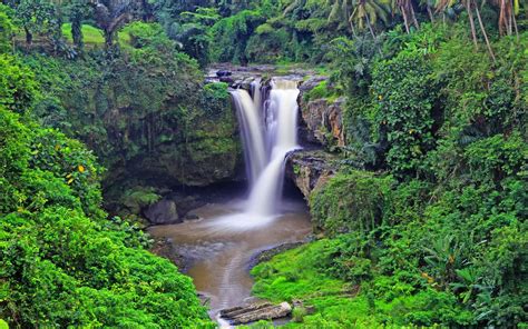 Tropical Waterfall Tegenungan Waterfall Ubud Indonesia