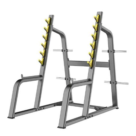Buy Dhz Fitness Squat Rack Online At Best Price In Uae Fitness Power House