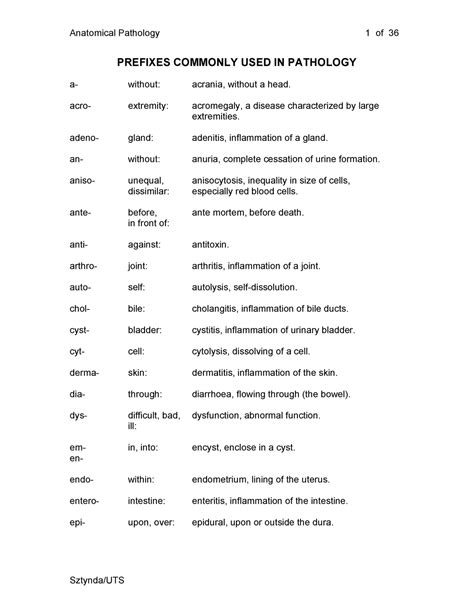 Anatomy Prefixes
