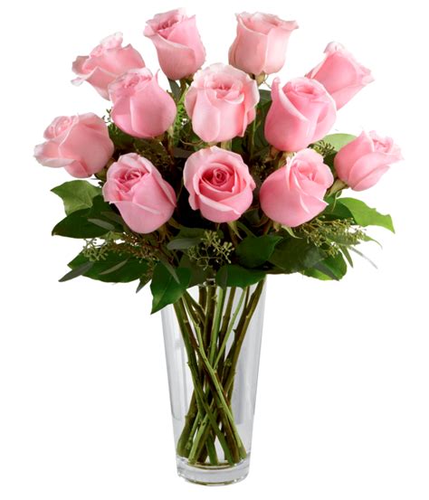 One Dozen Long Stemmed Pink Roses Congratulations Flowers And Ts