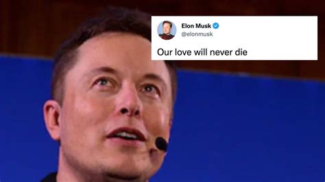 Elon Musk Has A Meme For Us News Channels Return To Twitter After