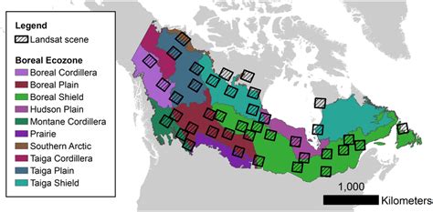Sample Of Landsat Tiles Distributed Across Major Ecozones Of Canada