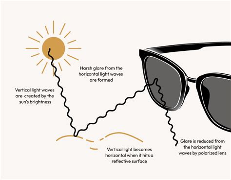 The Difference Between Polarized And Nonpolarized Sunglasses Ebd Blog