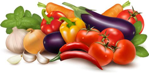 Download High Quality Vegetables Clipart Vector Transparent Png Images