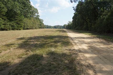 Shady Grove Plantation In Marengo County Alabama 47 Photos
