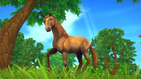 About Star Stable Online Amino