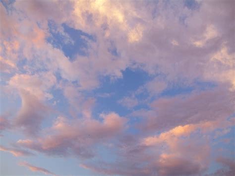 Softness Pink Sky Free Photo Download Freeimages
