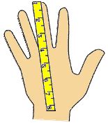 Baseball glove manufacturers use hand circumference as a standard metric for glove sizing. ESR - Mouse vs Hand size - list - Hardware Forum