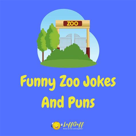 20 Funny Zoo Jokes And Puns Laffgaff Home Of Laughter
