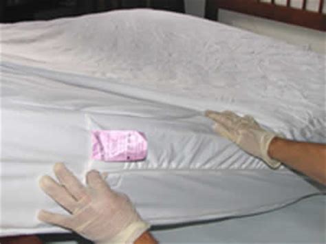 We researched the best options to keep your mattress safe and protected. Mattress Covers For Bed Bugs