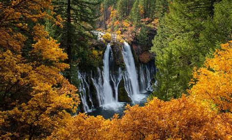 Otoño Bosque árboles Ca Cascadas Cascada California Burney Falls