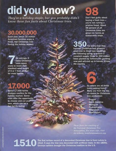 facts about christmas trees 2022 get christmas 2022 update