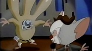 Kids WB - Pinky and the Brain Next - 1996 Kids WB Bumper - YouTube