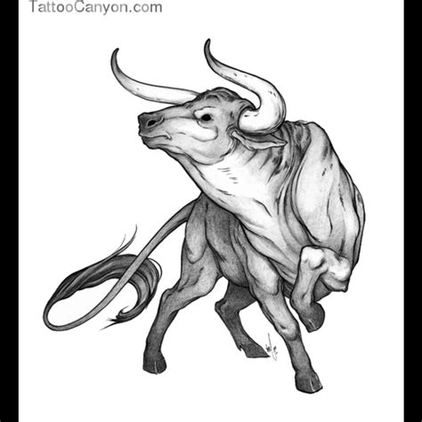 Bull Drawing At Getdrawings Free Download