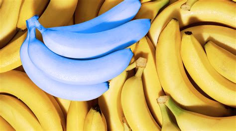 Blue Bananas That Taste Like Ice Cream Are Being Sold