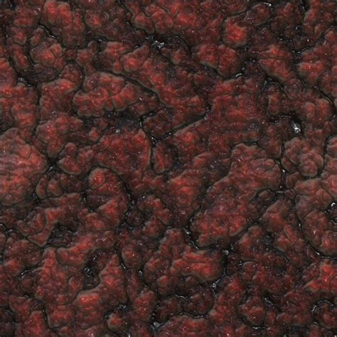 Wall Of Flesh Texture