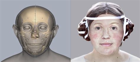 Decoding Archaeology Facing Our Past With Facial Reconstruction Dig It