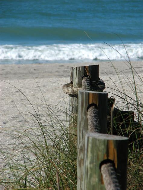 Beach | Free Stock Photo | Wooden posts along a path heading towards ...
