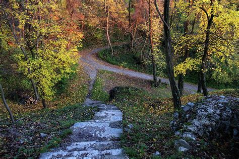 Stairs To Autumn Photograph By Ren Kuljovska Fine Art America