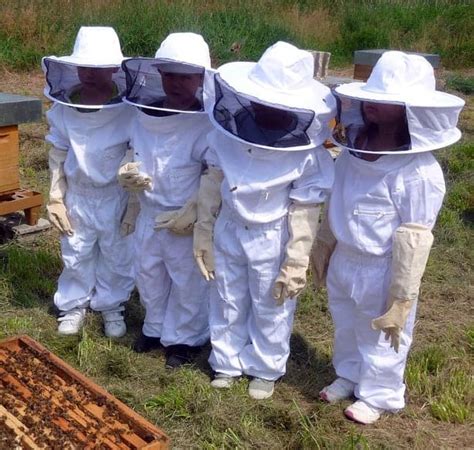 beekeeping protective clothing what you need carolina honeybees