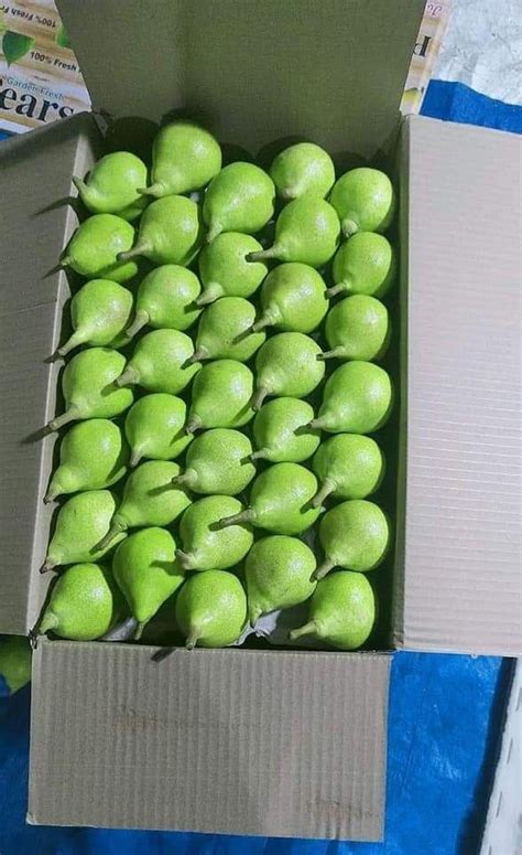 A Grade Apple Fresh Pears Fruit Packaging Type Carton Packaging Size 26 Kg At Rs 800box In