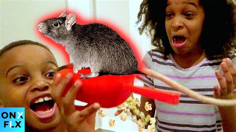 Shiloh And Shasha Find A Rat In Popcorn Onyx Kids Onyx Flix Youtube
