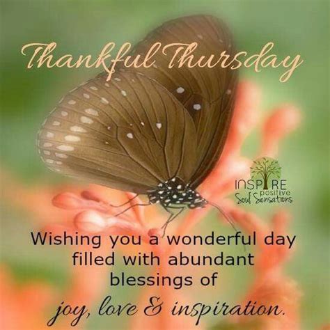 Thankful Thursday Thursday Morning Prayer Good Morning Happy Thursday