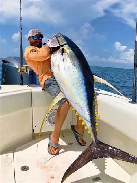 Key West Deep Sea Fishing Book Today Key West Charter Boat