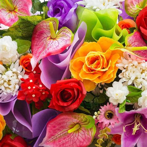 Summer Flowers | Avas flowers, Colorful flowers, Flowers